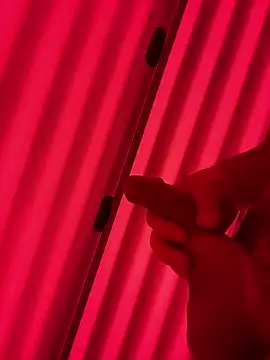 Snapshot of plaintreebull chatting on January 10, 2026, 7:42 pm plaintreebull online show from January 10, 2026, 7:42 pm