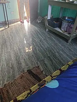 HorNy Bro Sis online show from January 13, 2026, 6:06 am