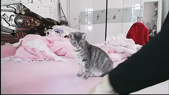 hebe-02 online show from November 5, 2025, 2:14 am