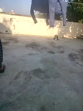 Snapshot of indian_couple4 chatting on December 16, 2025, 9:02 am indian couple4 online show from December 16, 2025, 9:02 am