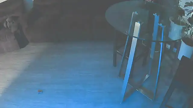 Snapshot of Fuckmehardandcloudy chatting on January 18, 2026, 11:41 pm Fuckmehardandcloudy online show from January 18, 2026, 11:41 pm