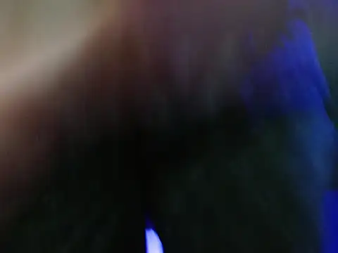 Pandora 9666 online show from January 6, 2026, 3:05 pm