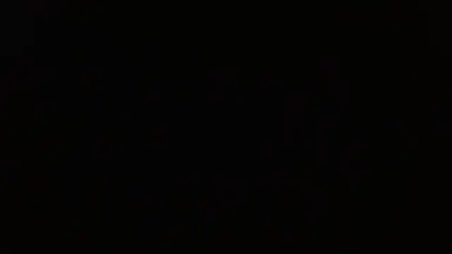 Pandora 9666 online show from April 19, 2026, 6:10 pm