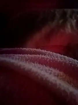 coringarato online show from December 22, 2025, 12:00 am