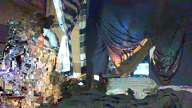 SillyRabbitz online show from March 4, 2026, 6:43 am