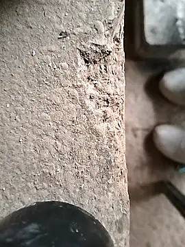 surfacespurt54 online show from October 23, 2025, 9:41 am