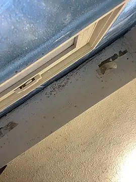 YODAPESOS online show from February 23, 2026, 1:01 pm