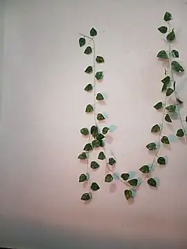 Snapshot of Neha-Bhabhi-Rasily chatting on February 18, 2026, 11:17 am Neha-Bhabhi-Rasily online show from February 18, 2026, 11:17 am