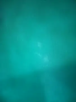 Snapshot of Neha-Bhabhi-Rasily chatting on October 29, 2025, 4:50 pm Neha-Bhabhi-Rasily online show from October 29, 2025, 4:50 pm