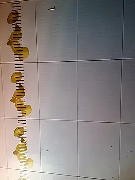 Snapshot of BellyDancer1 chatting on October 16, 2025, 9:28 am BellyDancer1 online show from October 16, 2025, 9:28 am