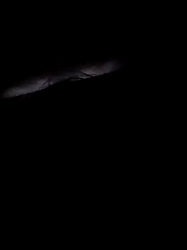 Lunababexoxo online show from March 3, 2025, 6:52 am