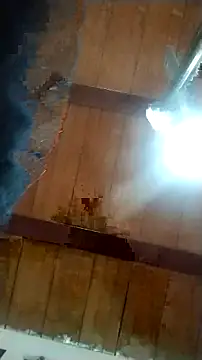 BiancaSteel online show from November 20, 2025, 6:03 am