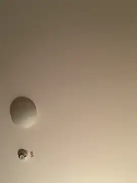 Saysay-7 online show from November 20, 2025, 11:25 pm