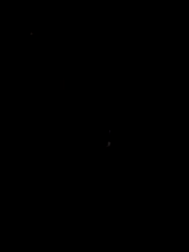 Snapshot of papicook chatting on May 6, 2026, 4:38 am papicook online show from May 6, 2026, 4:38 am
