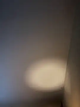 Snapshot of KITTYBOOBOOFUXX chatting on February 3, 2026, 6:51 am KITTYBOOBOOFUXX online show from February 3, 2026, 6:51 am