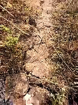 Snapshot of himvilohi08 chatting on February 28, 2026, 3:17 am himvilohi08 online show from February 28, 2026, 3:17 am