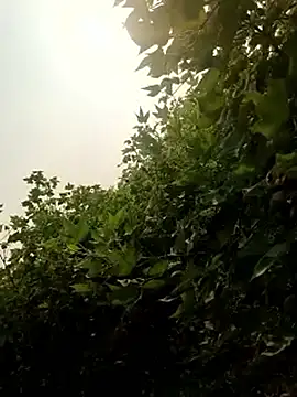 Snapshot of himvilohi08 chatting on October 22, 2025, 10:25 am himvilohi08 online show from October 22, 2025, 10:25 am