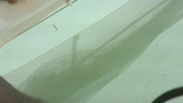 CrazyMove83 online show from February 25, 2026, 12:05 pm