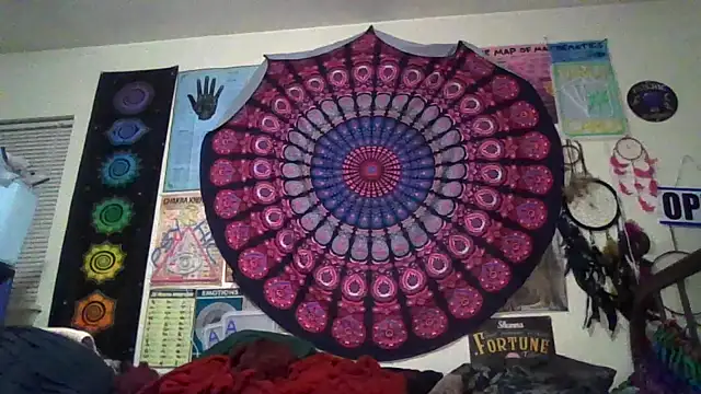 GardeniaFields online show from March 20, 2026, 9:32 am