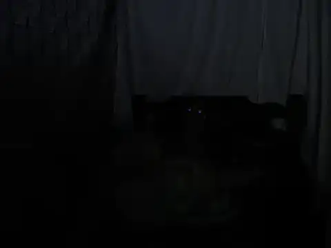 Snapshot of SHARONYJQVI chatting on March 22, 2025, 5:39 am SHARONYJQVI online show from March 22, 2025, 5:39 am