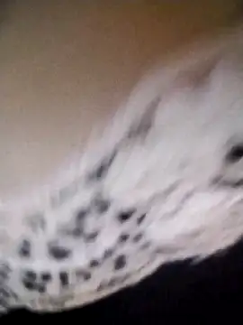 az9ovsqjqhva online show from November 8, 2025, 11:52 pm