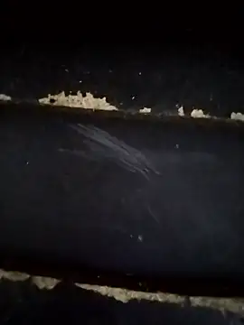 Snapshot of Lady_Lolla11 chatting on January 18, 2026, 6:11 pm Lady Lolla11 online show from January 18, 2026, 6:11 pm