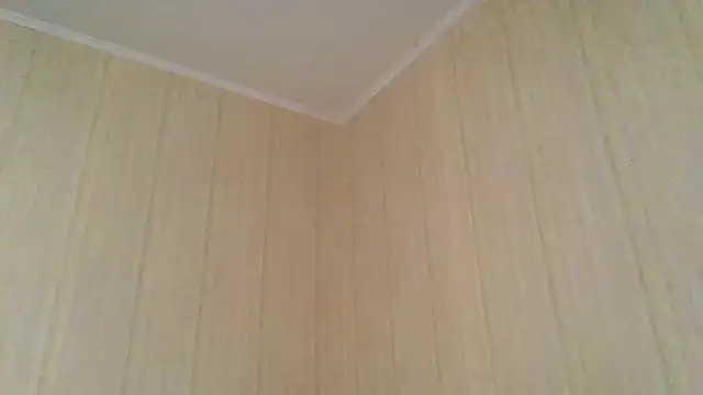  Black-Panther  online show from November 13, 2025, 8:18 am