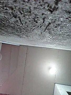 membro destruidor online show from March 31, 2026, 5:15 pm