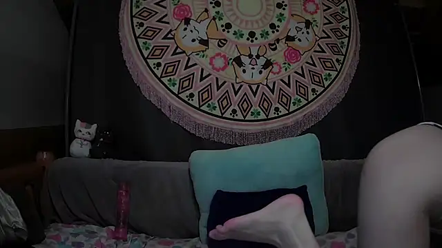 sopia2 online show from February 24, 2026, 3:07 am