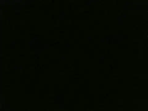 snehashreyatamil online show from October 12, 2025, 7:10 am