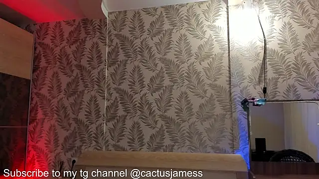 Snapshot of Cactus__James chatting on October 3, 2025, 9:16 pm Cactus James online show from October 3, 2025, 9:16 pm