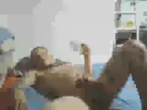 Snapshot of Edu42069 chatting on November 17, 2025, 5:44 am Edu42069 online show from November 17, 2025, 5:44 am