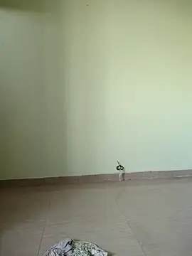 Desi Bhabi 01 online show from November 17, 2025, 9:35 am