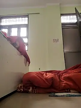 Snapshot of Desi_Bhabi_01 chatting on February 4, 2026, 3:34 am Desi Bhabi 01 online show from February 4, 2026, 3:34 am