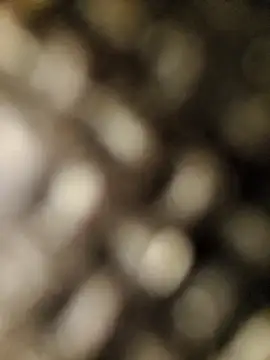 geilerschwanz556r7 online show from September 30, 2025, 8:53 am