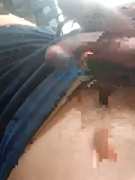 perplexedsoul online show from December 15, 2025, 7:36 am