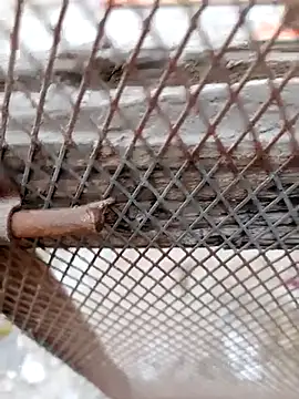 Snapshot of Hema0Hema chatting on February 22, 2026, 6:09 pm Hema0Hema online show from February 22, 2026, 6:09 pm