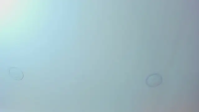 Antonella west online show from March 12, 2026, 9:08 pm