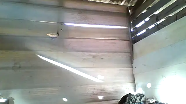 srtsara online show from April 15, 2026, 10:54 am