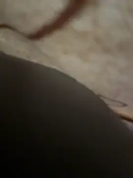 Snapshot of sweetsirenn chatting on November 24, 2025, 2:39 pm sweetsirenn online show from November 24, 2025, 2:39 pm