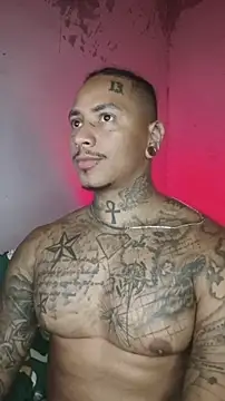 David tatto1 online show from February 17, 2026, 2:53 am