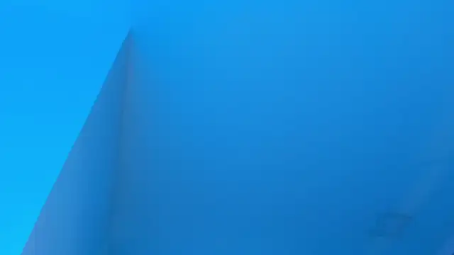 Sebax Young online show from January 17, 2026, 8:34 pm