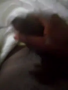 92donis online show from September 30, 2025, 3:56 am