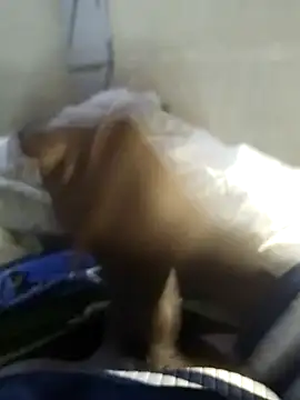 92donis online show from November 20, 2025, 7:25 pm