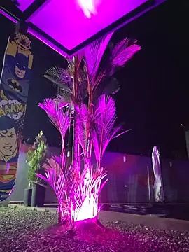 Snapshot of Yessica_Lopezz chatting on February 24, 2026, 10:16 am Yessica Lopezz online show from February 24, 2026, 10:16 am