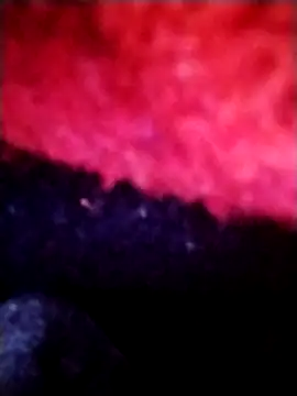 salimbasha online show from September 28, 2025, 12:28 am