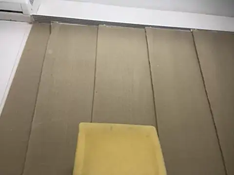 dabeibe online show from February 9, 2026, 4:21 am