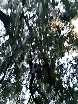 KalendaXL online show from April 5, 2026, 4:24 pm