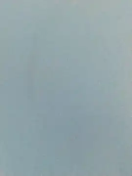 LeoMaduroSP online show from November 20, 2025, 4:13 am