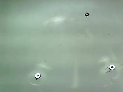 20cmloiro online show from January 8, 2026, 5:46 am